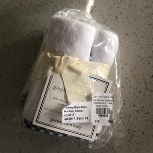 Pottery Barn baby Gingham trim wash cloths